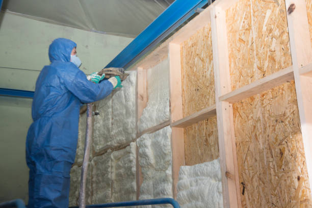 Best Attic Insulation Installation  in Rice Lake, WI