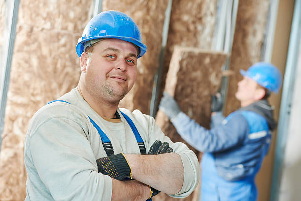 Best Professional Insulation Contractor  in Rice Lake, WI