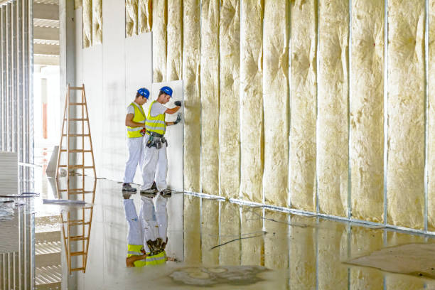 Best Spray Foam Insulation  in Rice Lake, WI